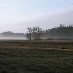 Masuria Warsaw Family - Dom Na Wylacznosc - W Lesie I Przy Rzece - 15 Min Od Warszawy - Idealny Dla Rodzin Z Dziecmi *