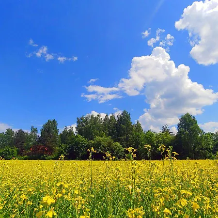 Masuria Warsaw Family - Dom Na Wylacznosc - W Lesie I Przy Rzece - 15 Min Od Warszawy - Idealny Dla Rodzin Z Dziecmi * Topolina