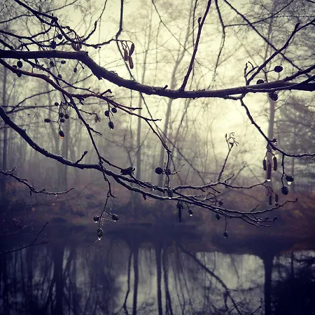 Holiday home Masuria Warsaw Family *