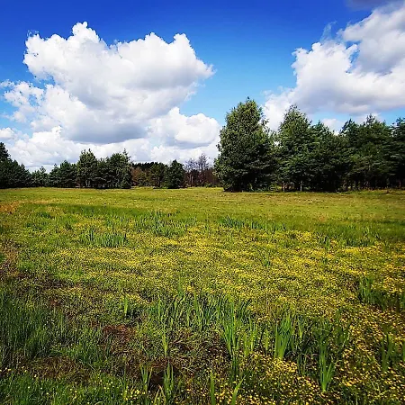 Masuria Warsaw Family - Dom Na Wylacznosc - W Lesie I Przy Rzece - 15 Min Od Warszawy - Idealny Dla Rodzin Z Dziecmi Topolina