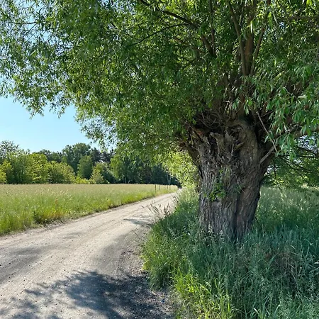Masuria Warsaw Family - Dom Na Wylacznosc - W Lesie I Przy Rzece - 15 Min Od Warszawy - Idealny Dla Rodzin Z Dziecmi Ferienhaus *