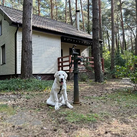 Masuria Warsaw Family - Dom Na Wylacznosc - W Lesie I Przy Rzece - 15 Min Od Warszawy - Idealny Dla Rodzin Z Dziecmi *