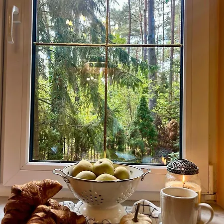 Ferienhaus Masuria Warsaw Family - Dom Na Wylacznosc - W Lesie I Przy Rzece - 15 Min Od Warszawy - Idealny Dla Rodzin Z Dziecmi *