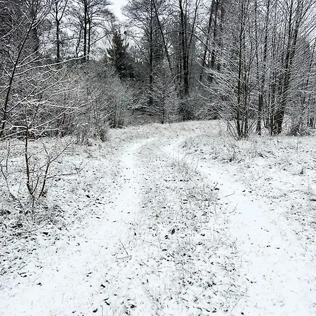 Masuria Warsaw Family - Dom Na Wylacznosc - W Lesie I Przy Rzece - 15 Min Od Warszawy - Idealny Dla Rodzin Z Dziecmi Ferienhaus Topolina