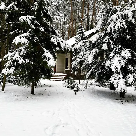 Masuria Warsaw Family - Dom Na Wylacznosc - W Lesie I Przy Rzece - 15 Min Od Warszawy - Idealny Dla Rodzin Z Dziecmi * Topolina