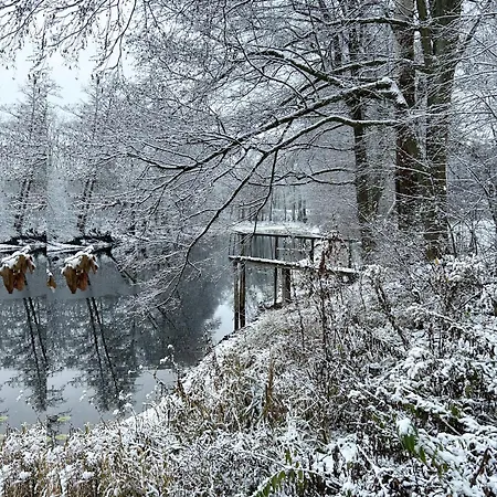 Ferienhaus Masuria Warsaw Family - Dom Na Wylacznosc - W Lesie I Przy Rzece - 15 Min Od Warszawy - Idealny Dla Rodzin Z Dziecmi *