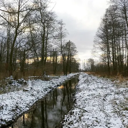 Masuria Warsaw Family - Dom Na Wylacznosc - W Lesie I Przy Rzece - 15 Min Od Warszawy - Idealny Dla Rodzin Z Dziecmi Ferienhaus